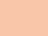 Peach Color Chip